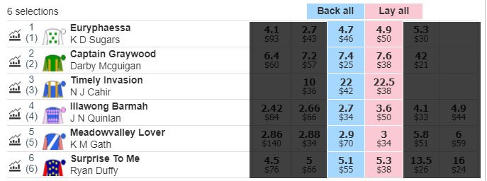 Betfair Interface for Lay Bets